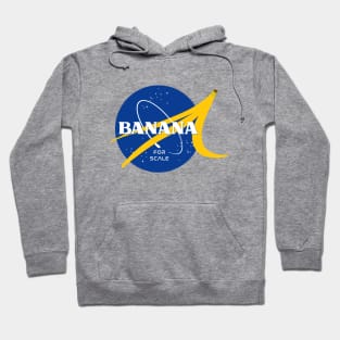 Banana for scale NASA logo Hoodie